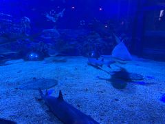 -成都浩海立方海洋公园