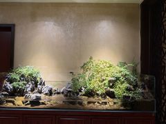 -杭州香格里拉·香宫中餐厅