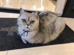 -Oasis绿洲银饰珍珠手作diy(壹方城店)