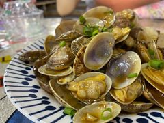 -魚當家
