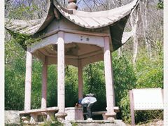 -紫金山山顶公园
