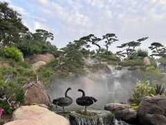 -罗红摄影艺术馆