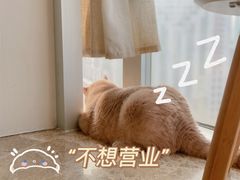 -Catmate·猫肥家润(金润铂宫店)