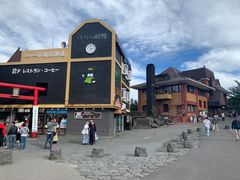 -富士山吉田線五合目