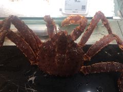 -超级物种·波龙工坊(国贸店)