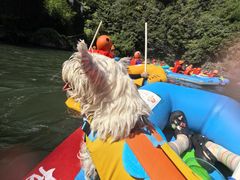 -安吉龙王山峡谷漂流