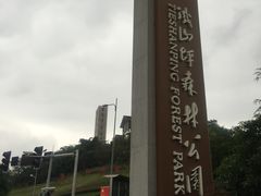 -铁山坪森林公园