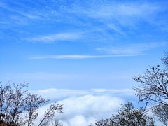 -白草畔自然风景区