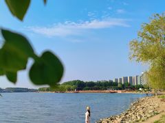 -丁香湖公园