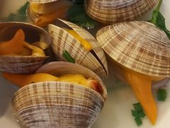 -喜来酌海鲜·饺子(和平一店)