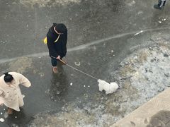 -赵州桥景区