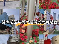 -北国商城