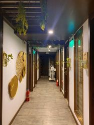 -青青一生美皮肤管理