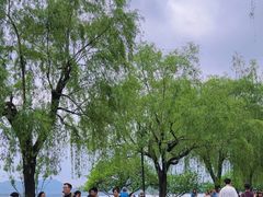 -西湖游船