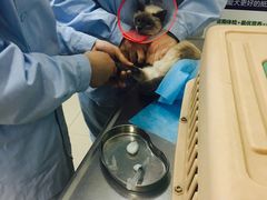 -康乐宝动物医院