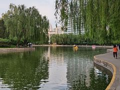 -团结湖公园