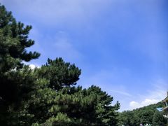 -鲁山国家森林公园