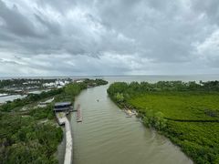 -东寨港红树林旅游区