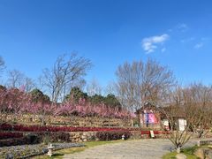 -茅山东方盐湖城景区