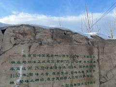 -北京鹫峰国家森林公园