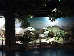 -国家自然博物馆