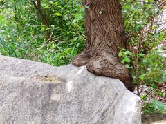 -碓臼峪自然风景区