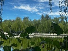 -丰台花园