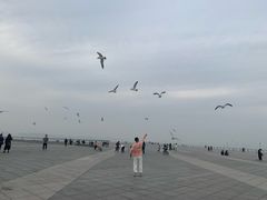 -东港音乐喷泉广场