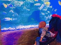 -华夏文旅海洋公园