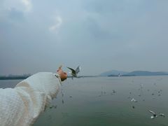 -蠡湖大桥公园