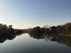 -新江湾城公园