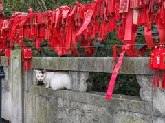 -句容茅山景区