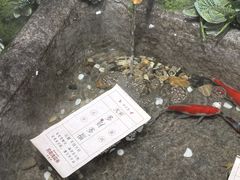 -瑞虹新天地月亮湾