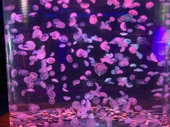 -多彩贵州城极地海洋世界