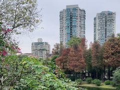 -晓港公园