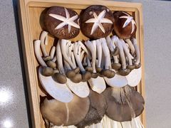 -蝎王府羊蝎子(天通苑店)