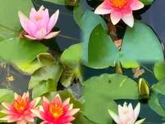 -国家植物园南园