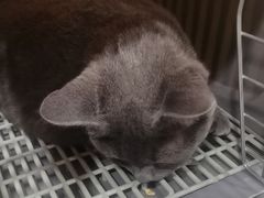 -芭比堂动物医院·CT·微创中心(新顺分院)