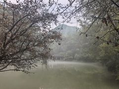-灵栖洞天