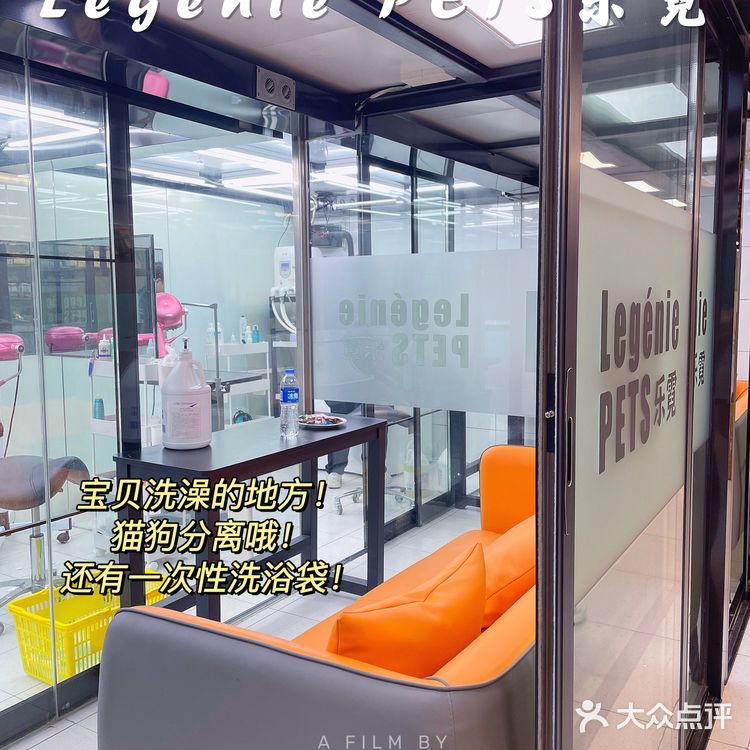 快来带走你的小可爱‼️宠物店中的爱马仕