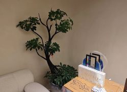-VALMONT·若嫚蝶国际美肤中心