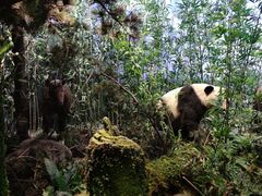 -陕西自然博物馆