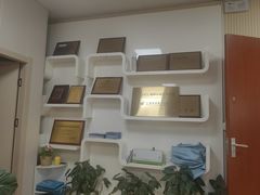 -上海大学附属上海和平眼科医院