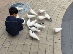 -中粮·祥云小镇