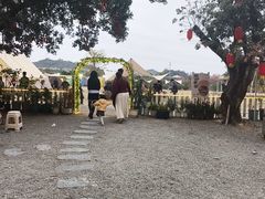 -长洲岛都市农业公园