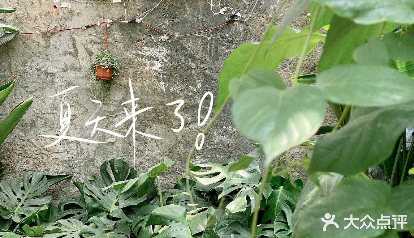 Crush Coffee|夏天的风🍉，吹过小院～
