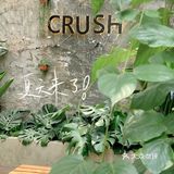 Crush Coffee|夏天的风🍉，吹过小院～