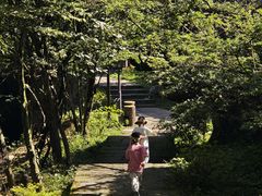 -山王坪喀斯特国家生态公园