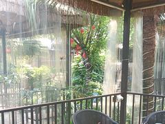 -醉月城西昌火盆烧烤(天府店)
