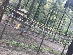 -黄海国家森林公园